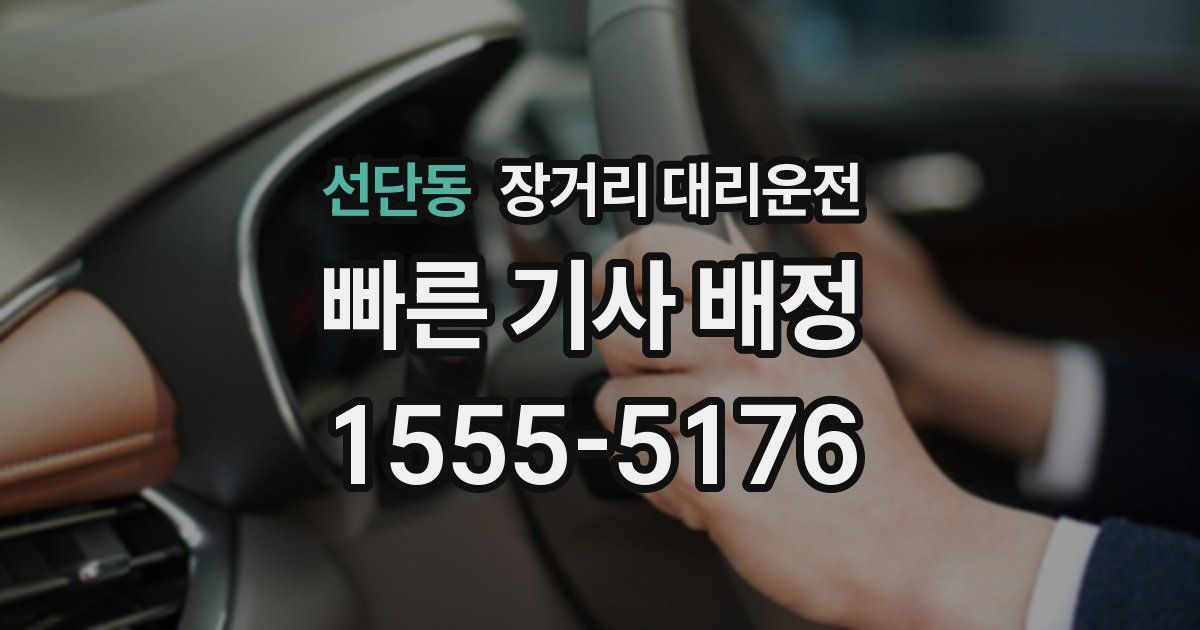 선단동 장거리 대리운전