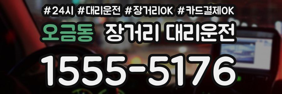 오금동 장거리 대리운전