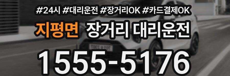 지평면 장거리 대리운전