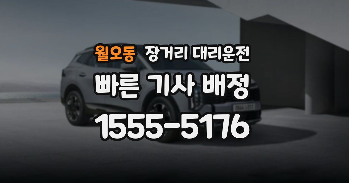 월오동 장거리 대리운전