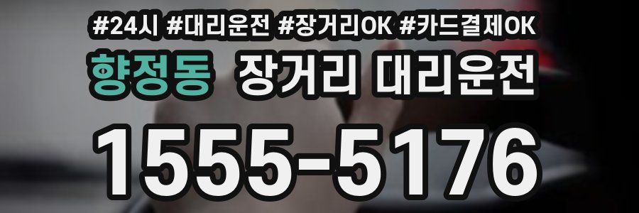 향정동 장거리 대리운전