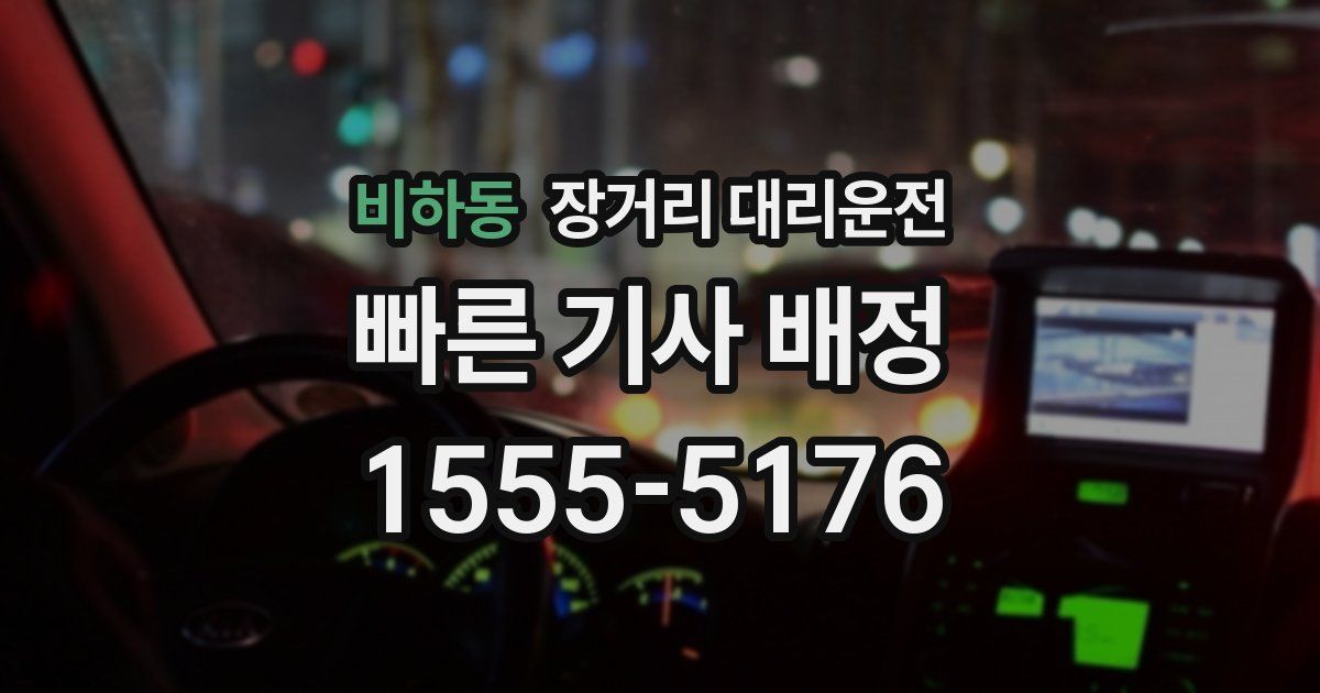 비하동 장거리 대리운전