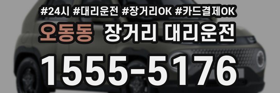 오동동 장거리 대리운전
