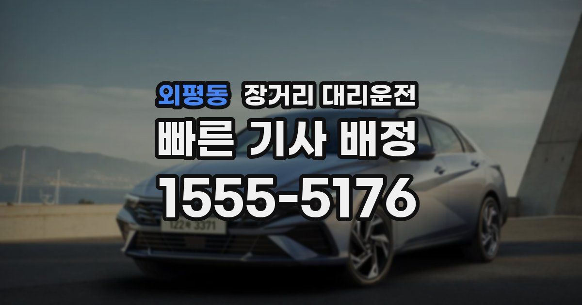 외평동 장거리 대리운전
