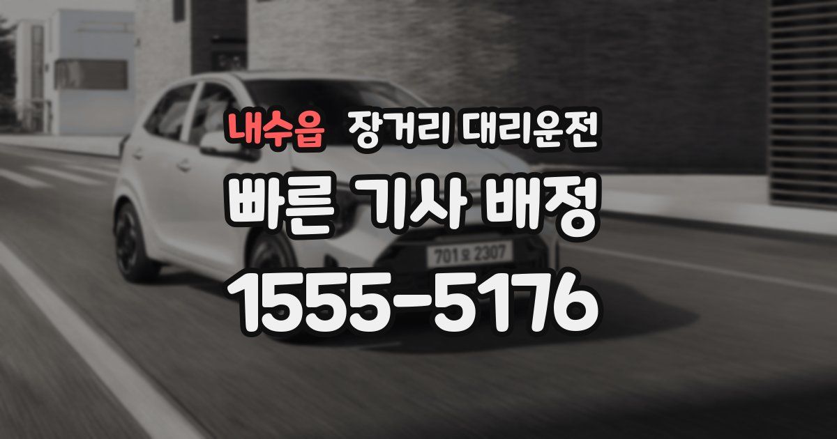 내수읍 장거리 대리운전
