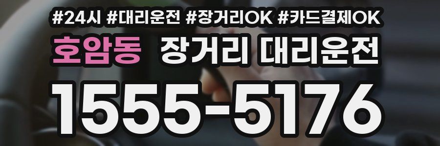 호암동 장거리 대리운전