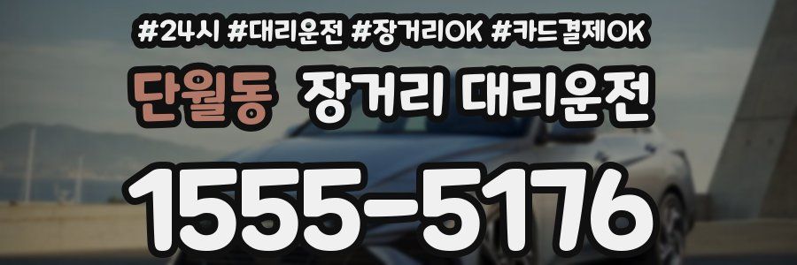 단월동 장거리 대리운전