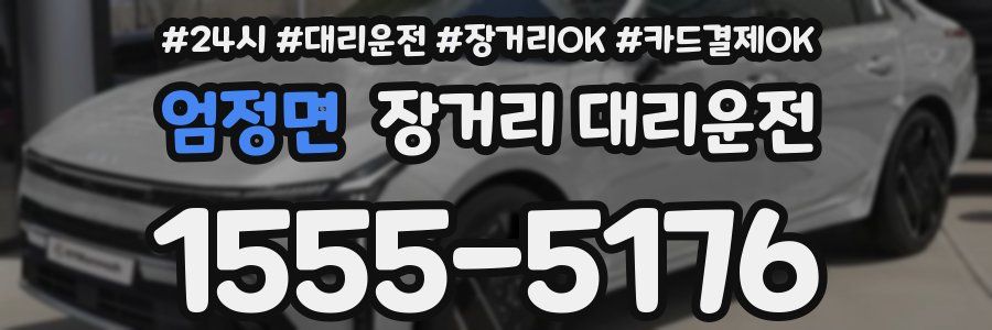 엄정면 장거리 대리운전
