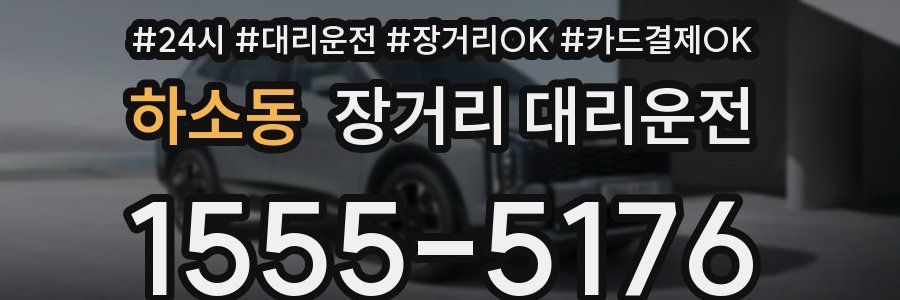 하소동 장거리 대리운전