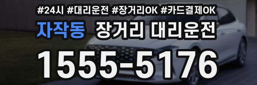 자작동 장거리 대리운전