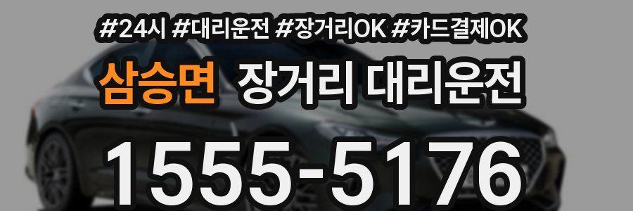 삼승면 장거리 대리운전