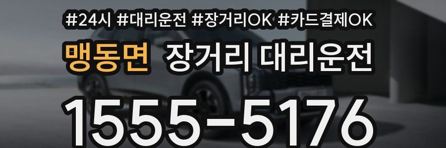 맹동면 장거리 대리운전