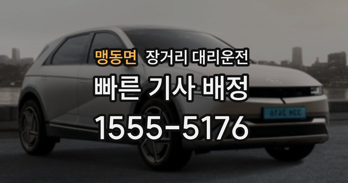 맹동면 장거리 대리운전