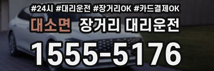대소면 장거리 대리운전