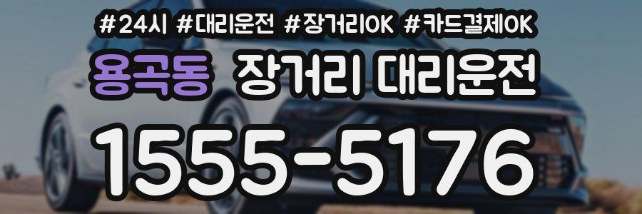 용곡동 장거리 대리운전