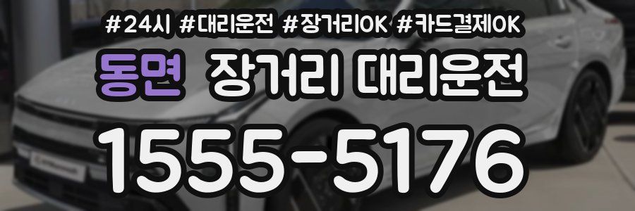 동면 장거리 대리운전