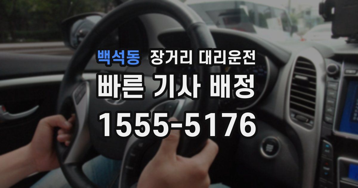 백석동 장거리 대리운전