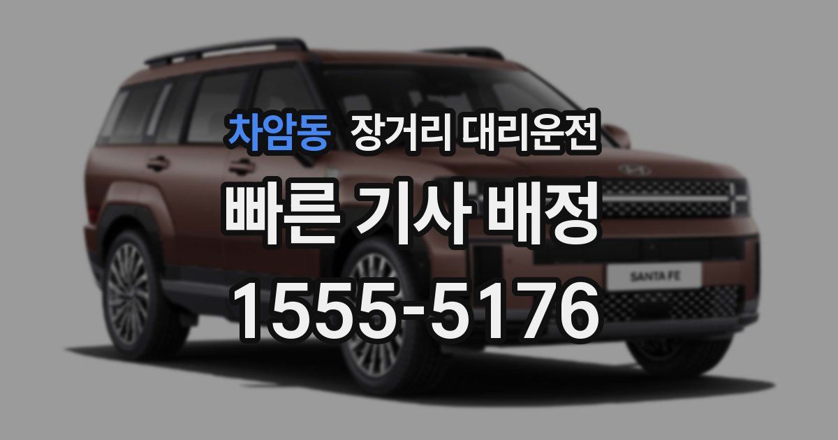 차암동 장거리 대리운전