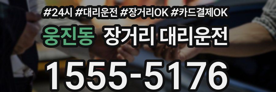 웅진동 장거리 대리운전