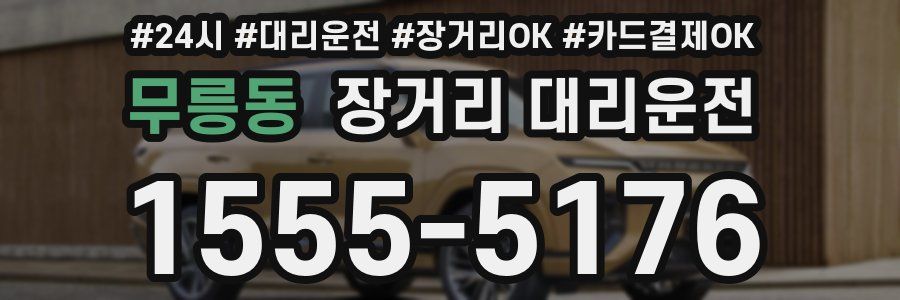 무릉동 장거리 대리운전