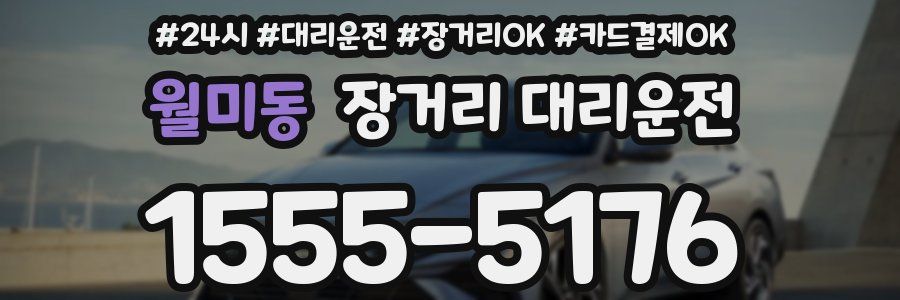 월미동 장거리 대리운전
