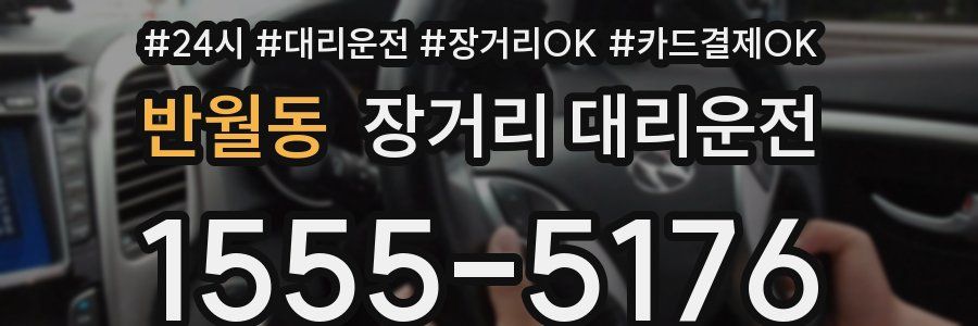 반월동 장거리 대리운전