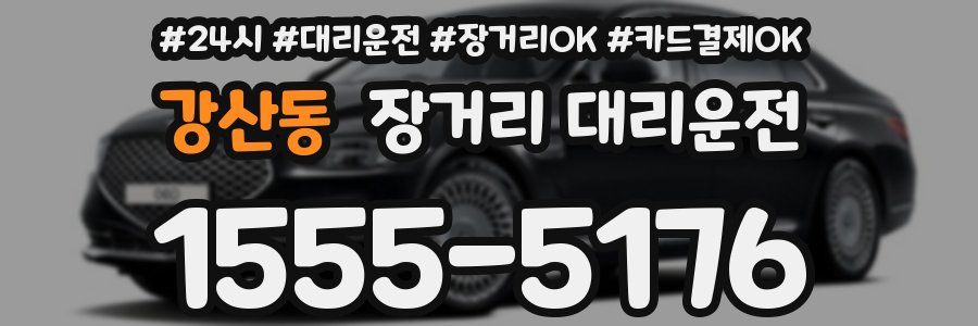 강산동 장거리 대리운전