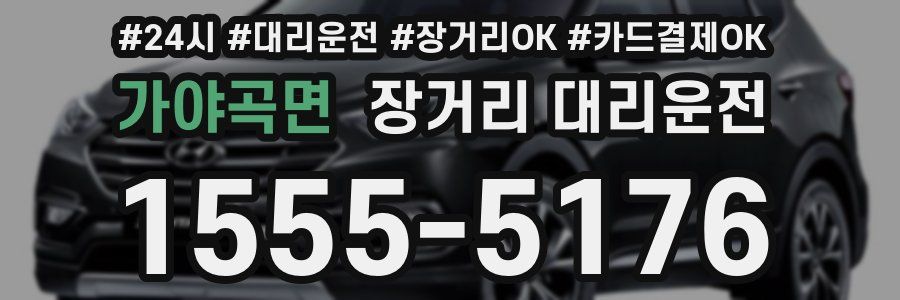 가야곡면 장거리 대리운전