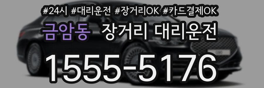 금암동 장거리 대리운전