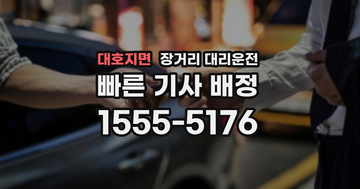 대호지면 장거리 대리운전
