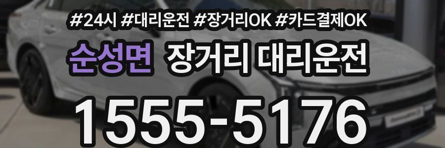 순성면 장거리 대리운전