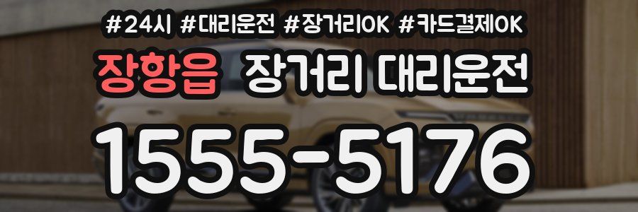 장항읍 장거리 대리운전