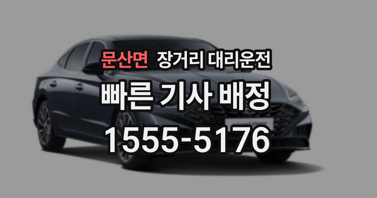 문산면 장거리 대리운전
