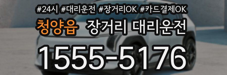 청양읍 장거리 대리운전