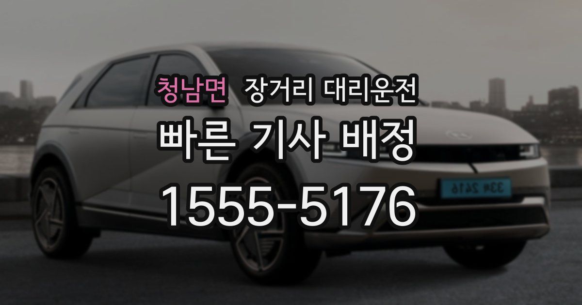 청남면 장거리 대리운전