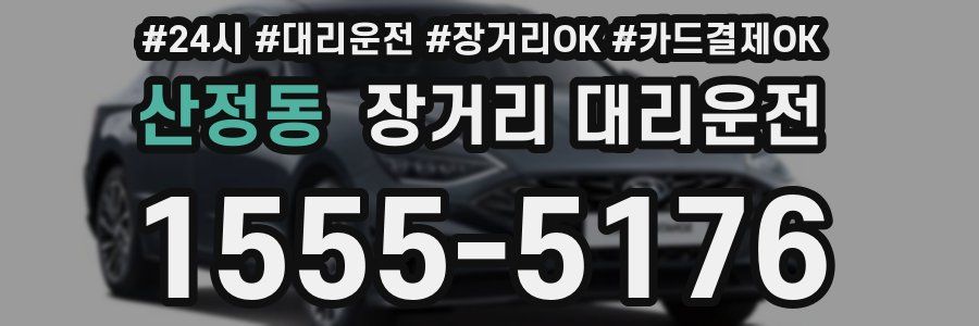 산정동 장거리 대리운전