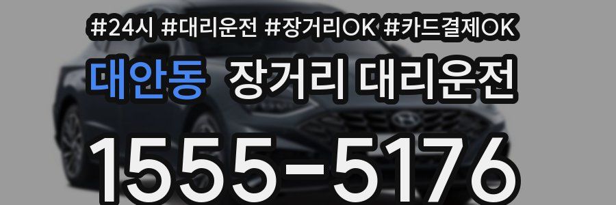 대안동 장거리 대리운전
