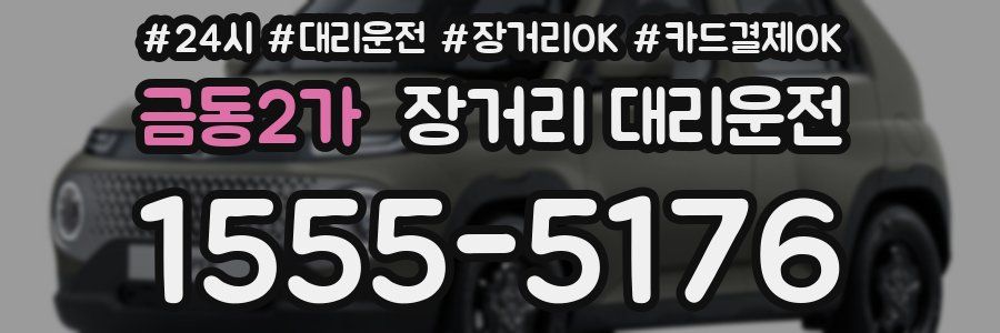 금동2가 장거리 대리운전