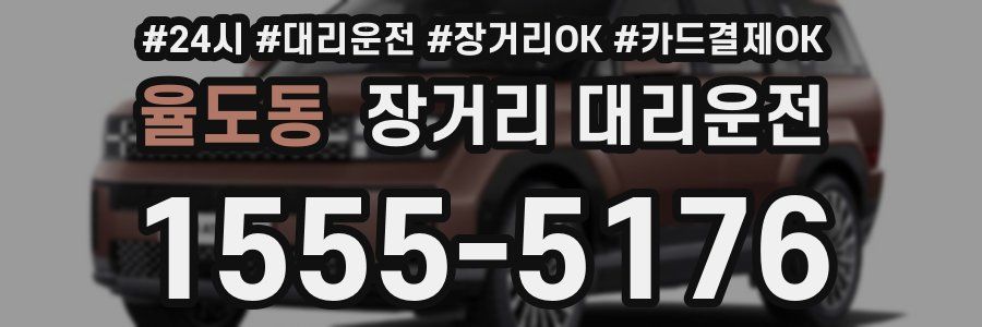 율도동 장거리 대리운전
