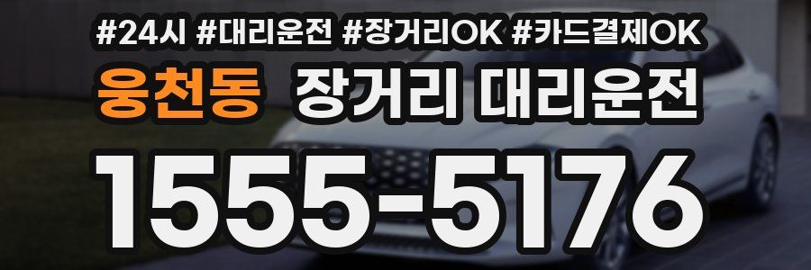 웅천동 장거리 대리운전