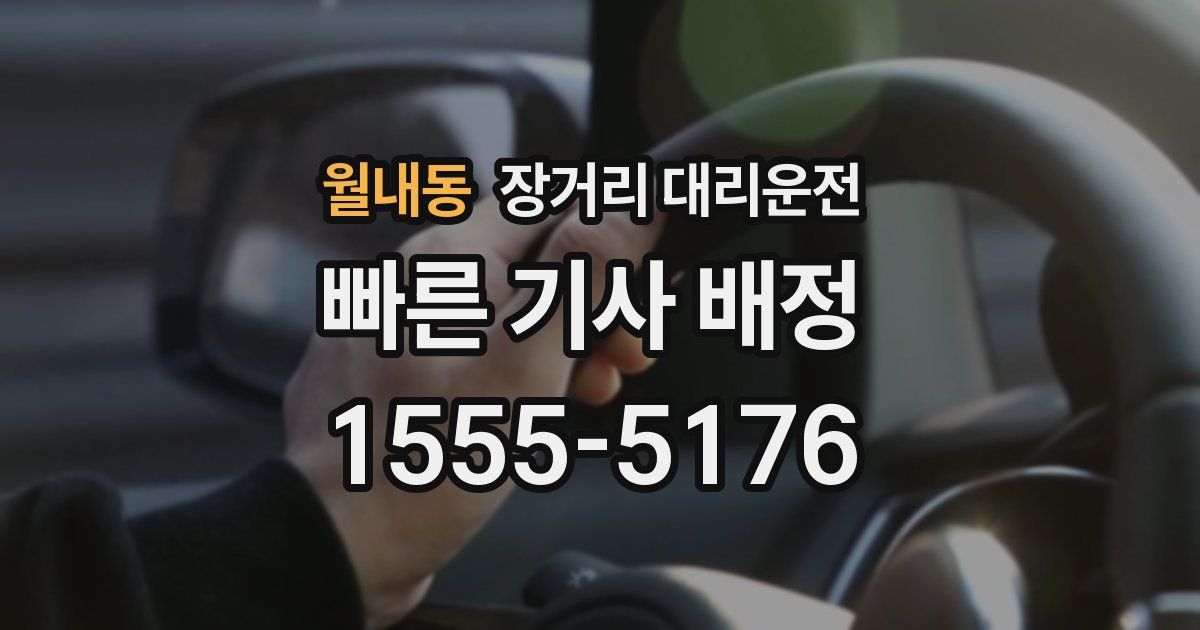 월내동 장거리 대리운전
