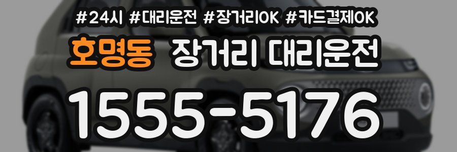 호명동 장거리 대리운전