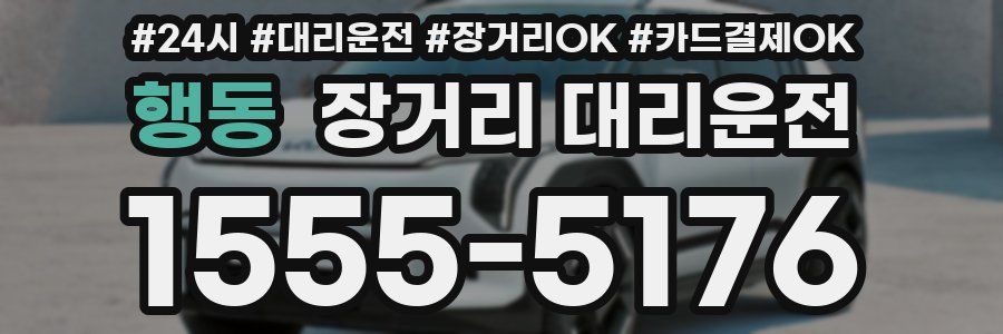 행동 장거리 대리운전