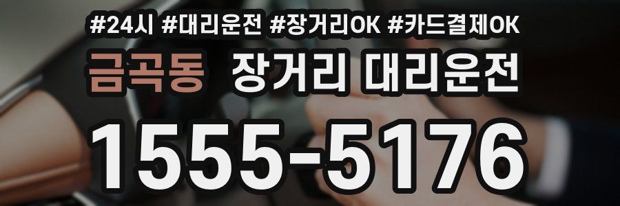 금곡동 장거리 대리운전