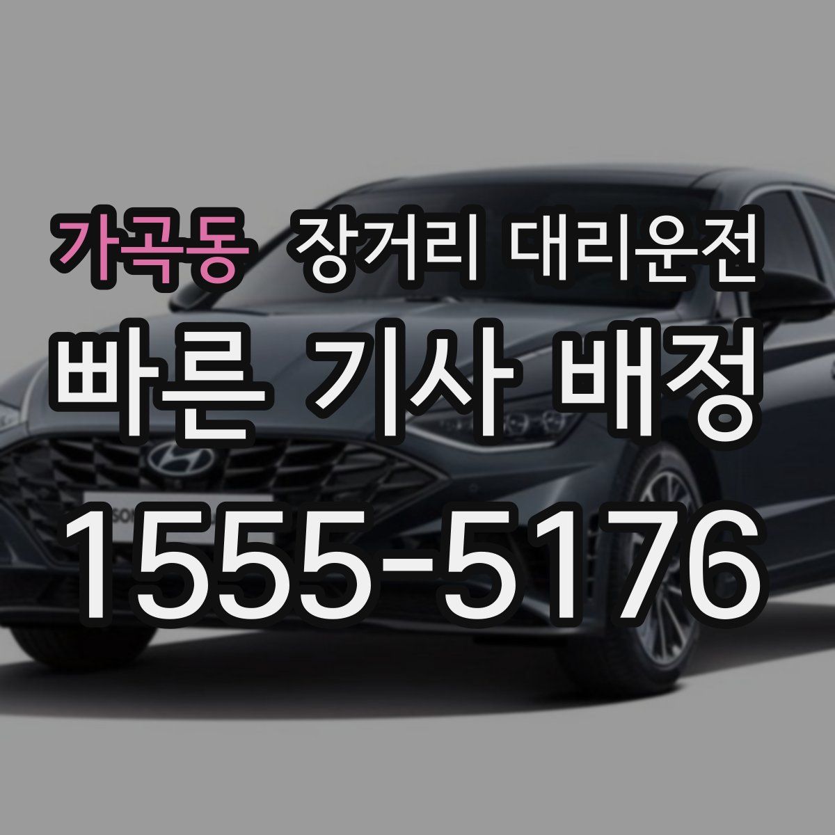 가곡동 장거리 대리운전