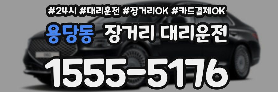용당동 장거리 대리운전