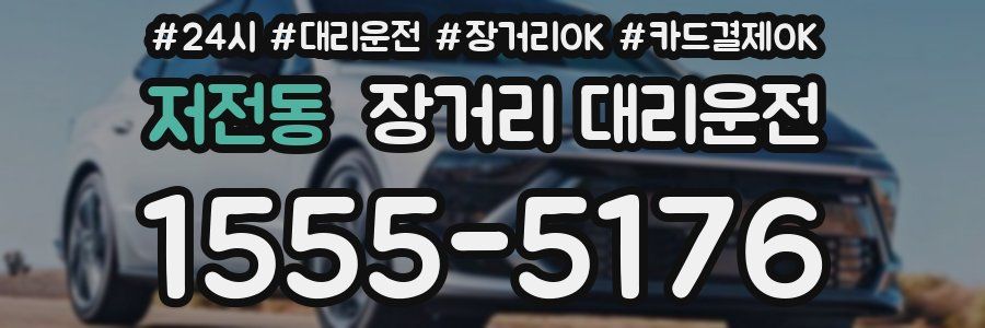 저전동 장거리 대리운전