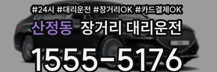 산정동 장거리 대리운전