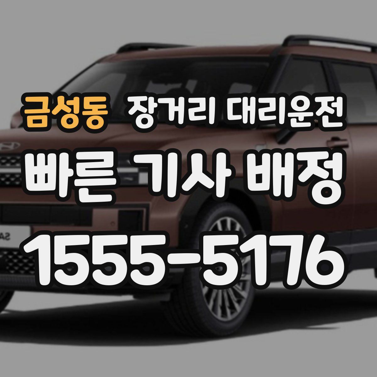 금성동 장거리 대리운전