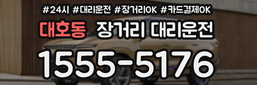 대호동 장거리 대리운전